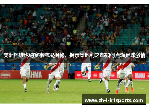 美洲杯维也纳赛事盛况揭秘，揭示奥地利之都如何点燃足球激情